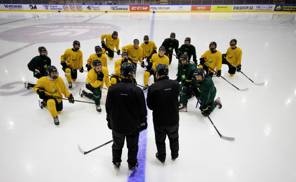 LIU Hockey