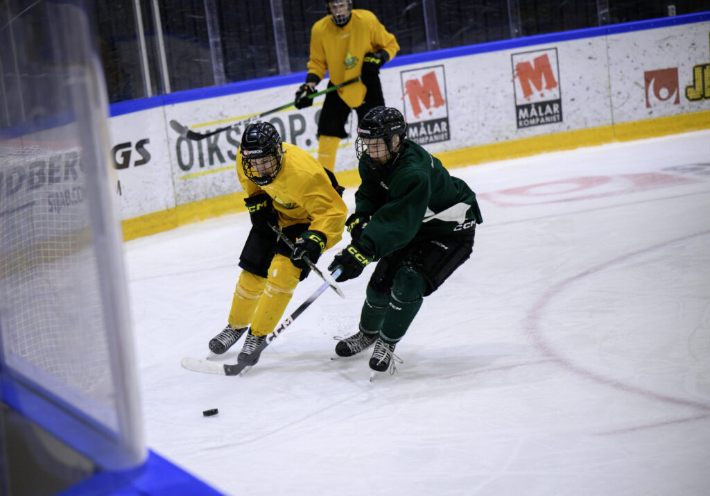 NIU Hockey