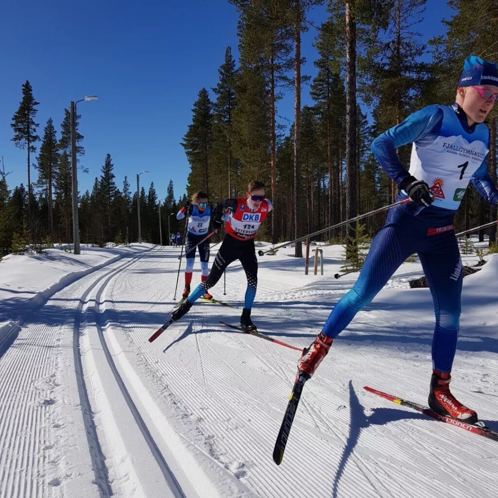 NIU Längd